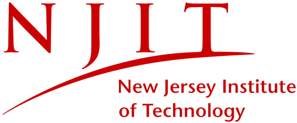 New Jersey IT logo